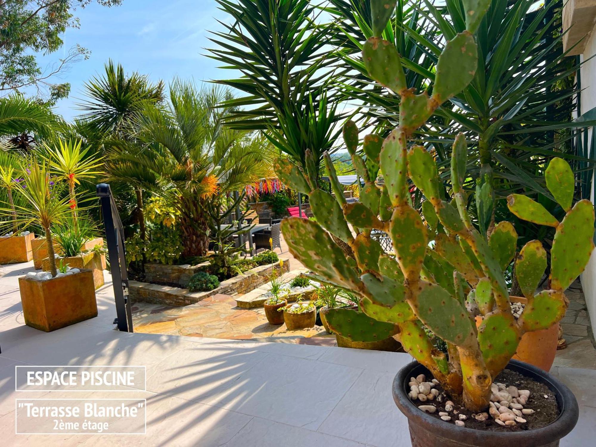 Villa Merkel - 27 Pers - 11 Chambr - 10 Wc - Piscine أنغليه المظهر الخارجي الصورة